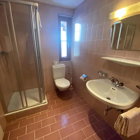 Apartment Alpenrose *